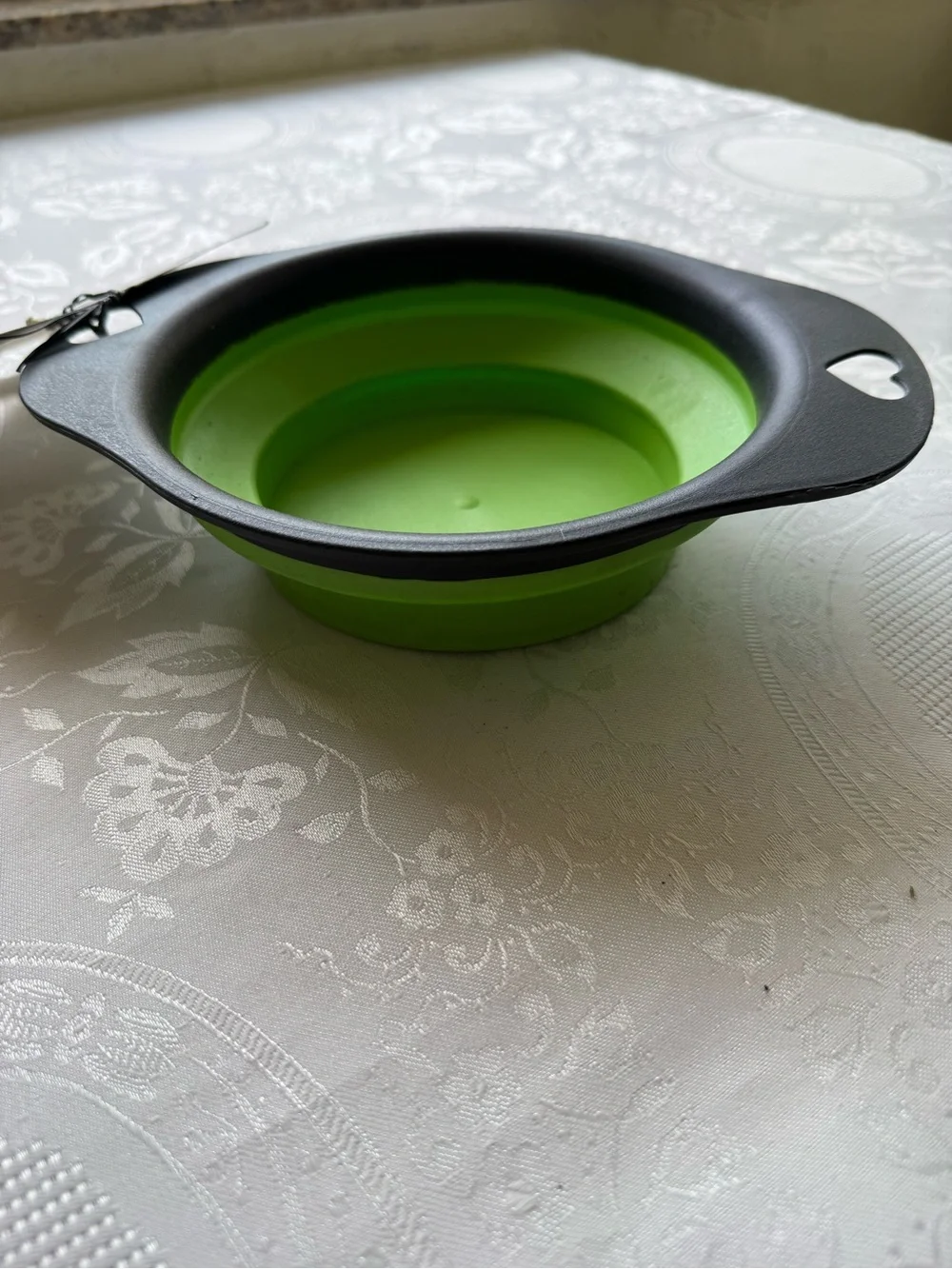 Collapsible Pet Bowl - Green Silicone with Black Rim